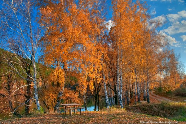 Золотая осень бабье лето