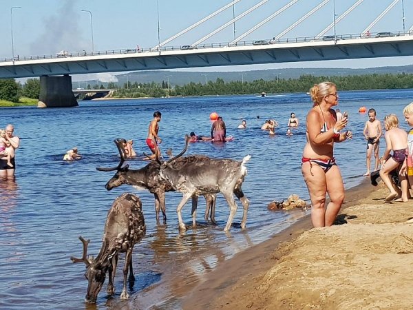 Пляж на севере