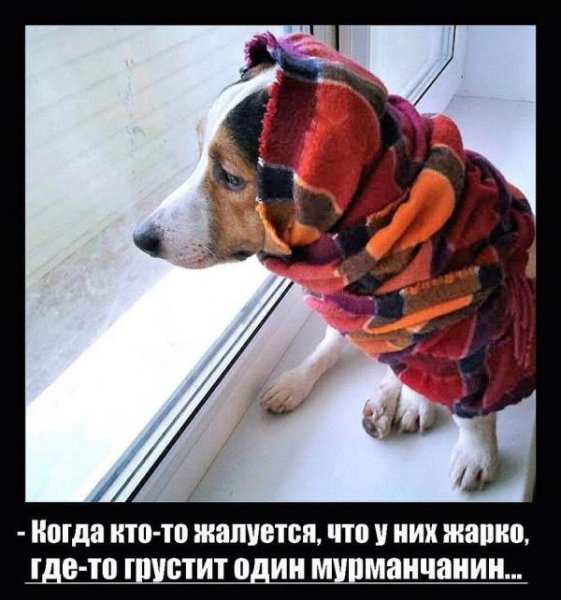 Когда кто то жалуется что у них жарко