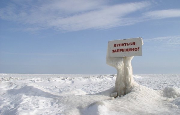 Заполярье Мурманск