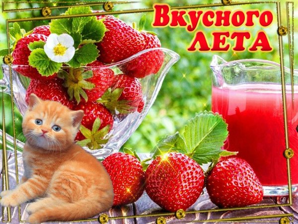 Летние открытки