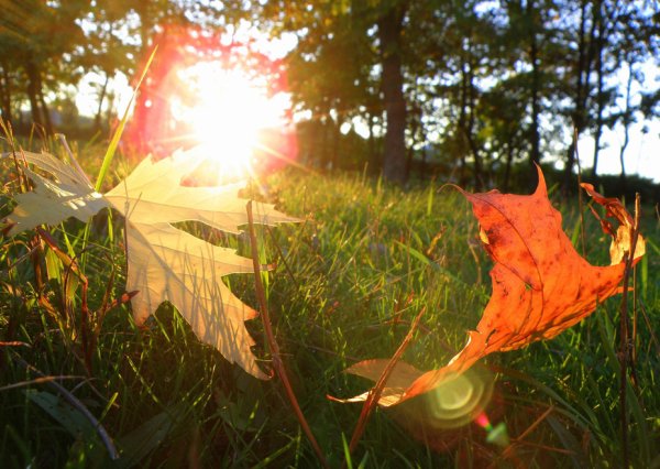 Жаркие дни в сентябре