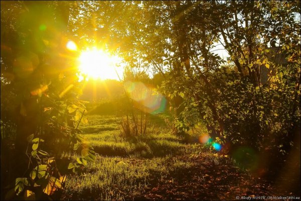 С добрым утром бабьего лета