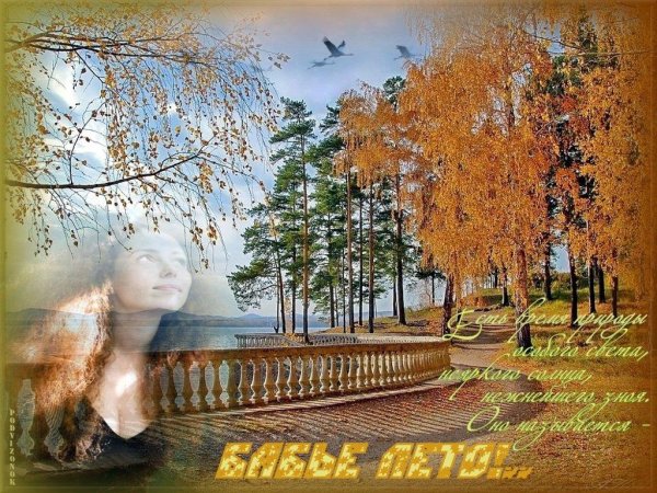 Доброе утро бабьего лета