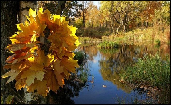 Осень бабье лето