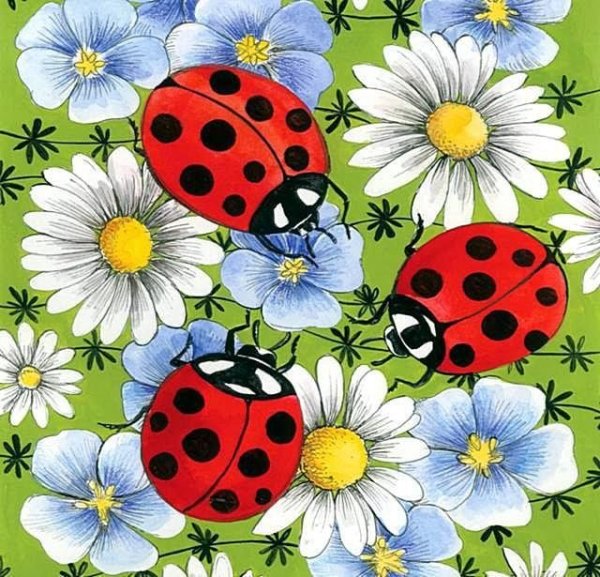 Разноцветный закат