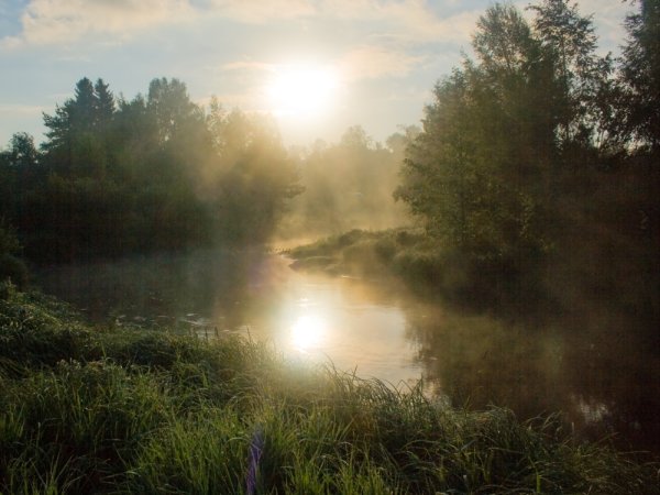 Жаркое летнее утро