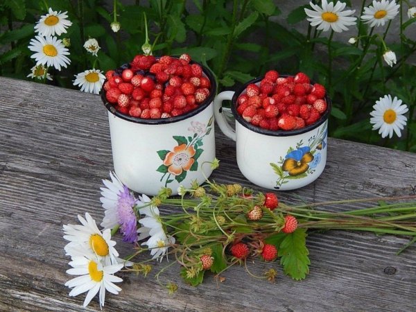 Доброе жаркое летнее утро