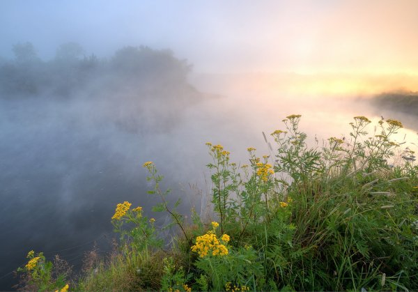 Прохлада летом