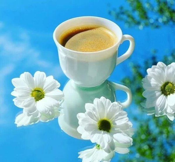 Доброе солнечное утро