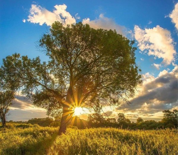 Картинки времена года лето