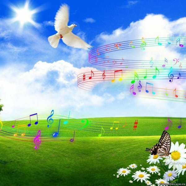 Наше веселое лето