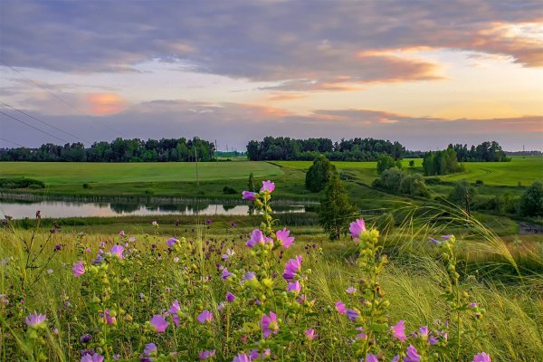 Лето фотопейзажи Сергея Краева