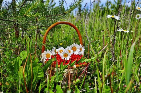 Красота русской природы