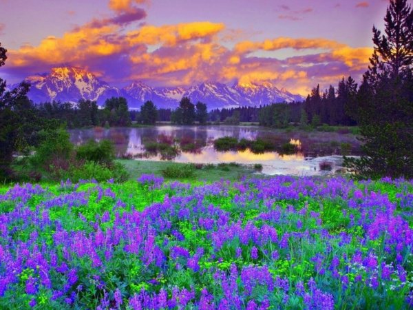 Красивые летние пейзажи