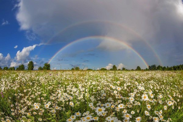 Дивная природа