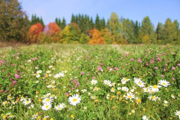 Июль природа