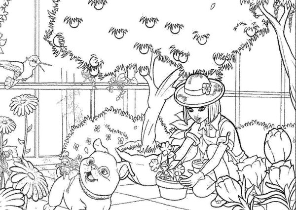 Раскраска сода