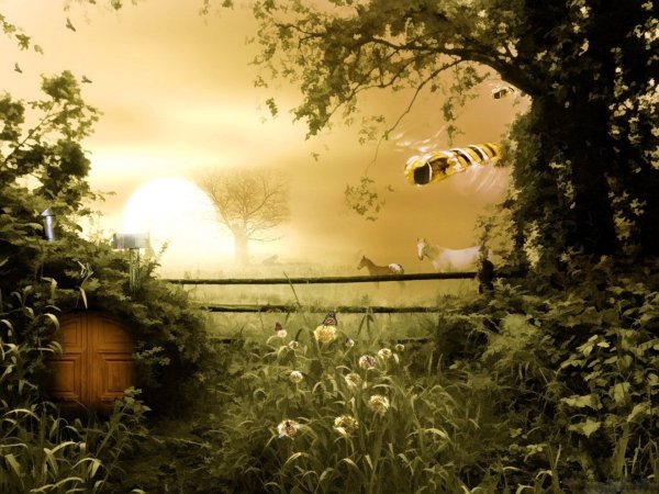 Пчела на рассвете