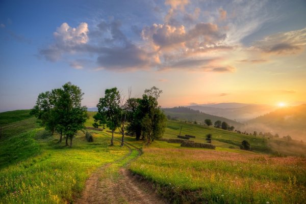 Пейзаж летом