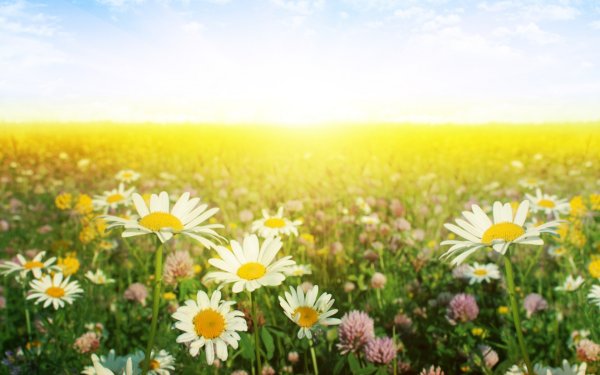 Озеро Тургояк