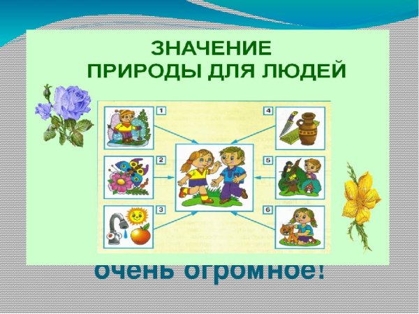 Окружающий мир проект разнообразие