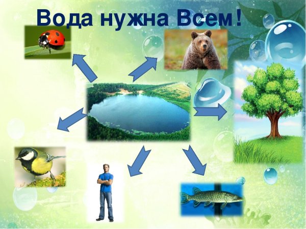 Вода в природе и жизни человека