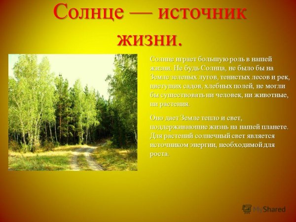 Солнце источник жизни на земле презентация