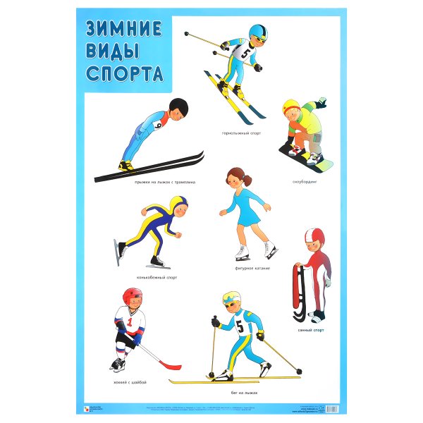 Плакат. Зимние виды спорта