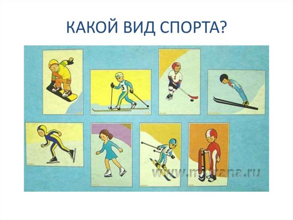 Наглядное пособие виды спорта