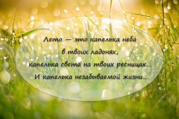 Цитаты о лете