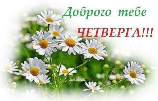 Доброго летнего четверга