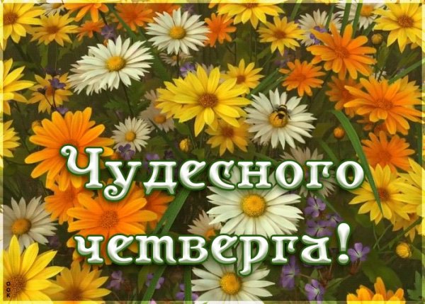 Хорошего четверга и отличного