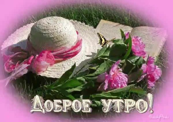 Открытки с добрым утром четверга летние