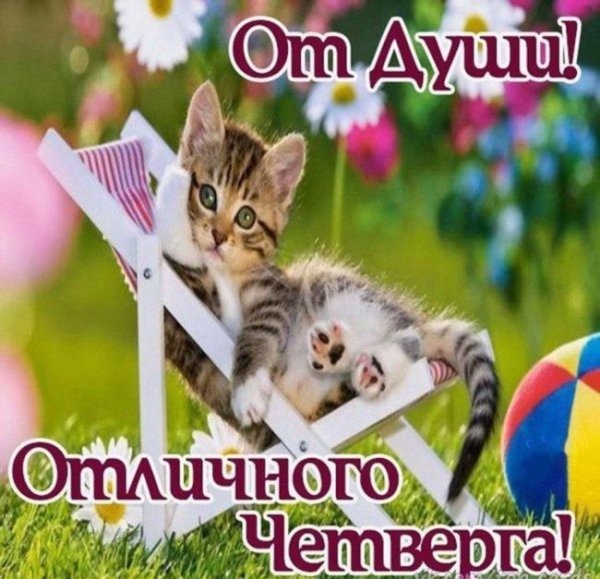 Доброе утро четверга