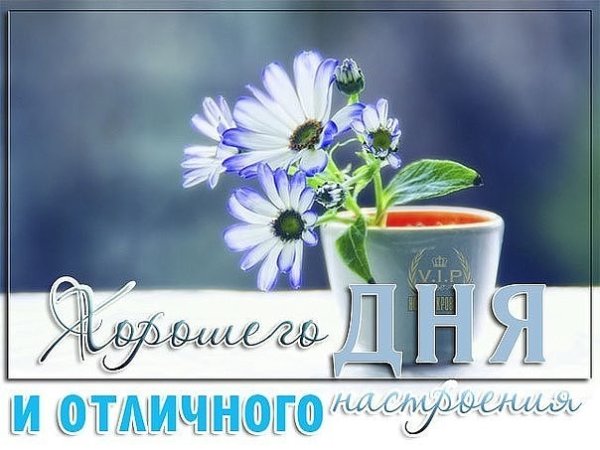 Доброе утро четверга пожелания