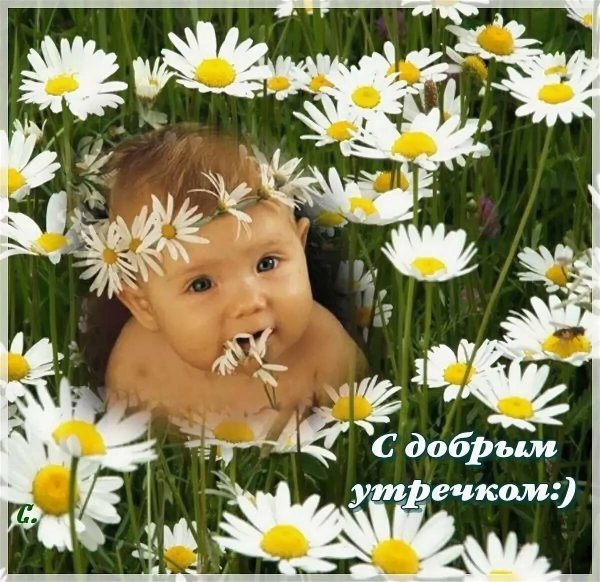 Пожелания доброго утра с детьми