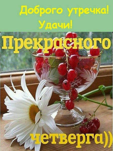 Доброе утро четверга