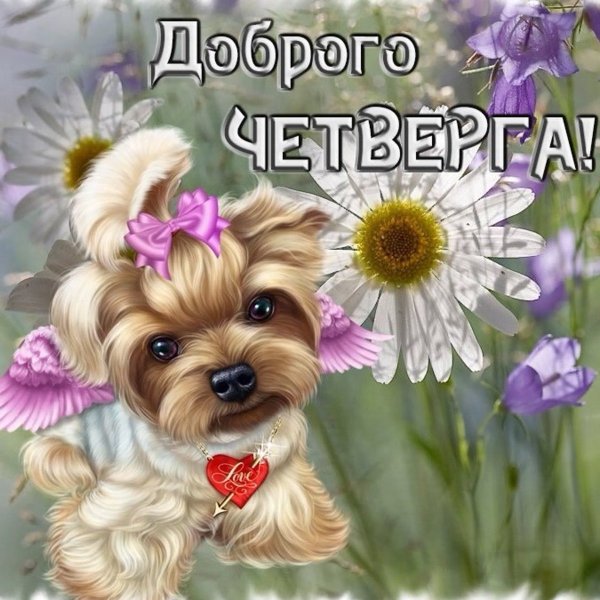 Доброго четверга