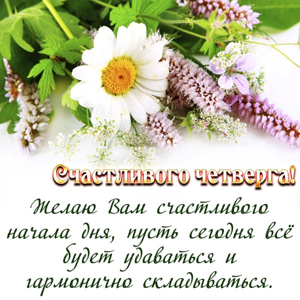 Доброе утро четверга пожелания