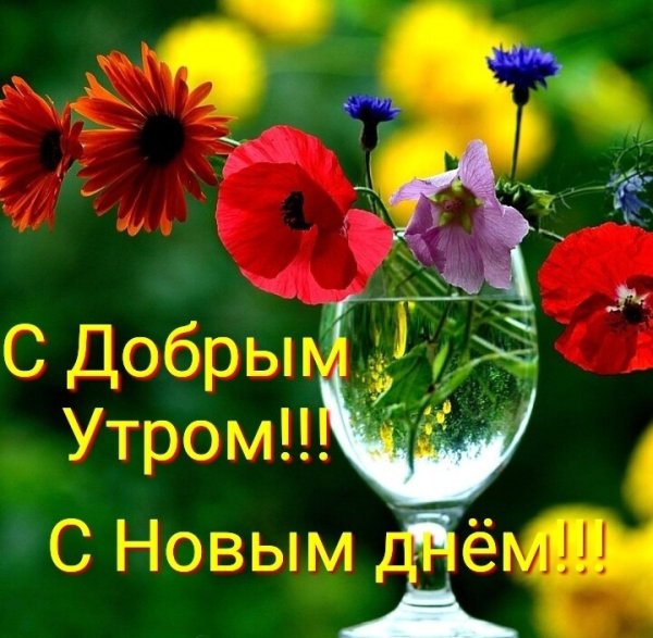 Солнечного настроения на весь день