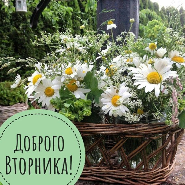 Доброе июньское утро