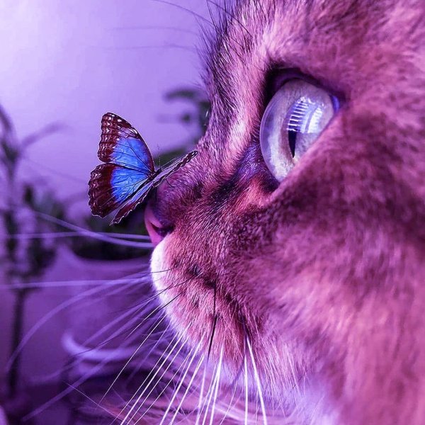 Лето на носу