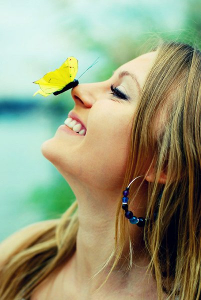 Бордер колли рыжий