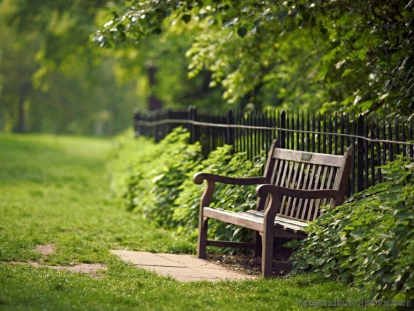 Парк скамейка