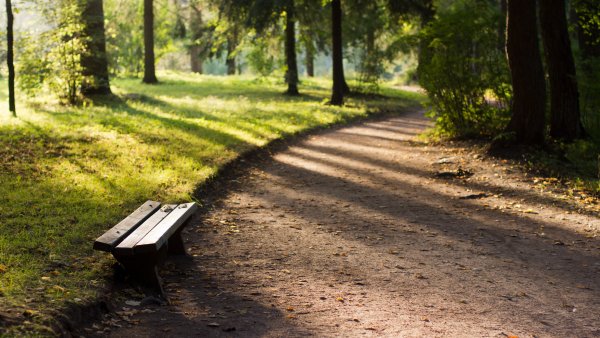 Скамейки в Павловском парке