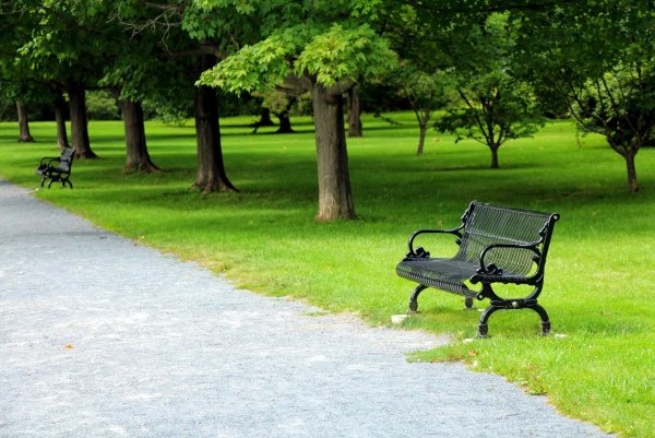 Парк аллея лавочка