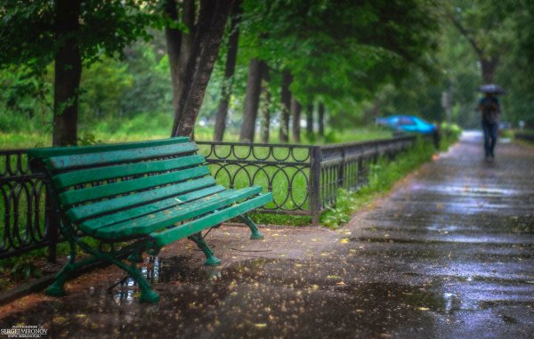 Скамейка дождь