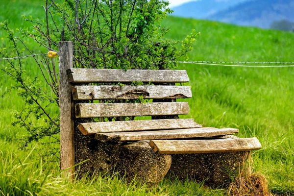 Скамейка на природе