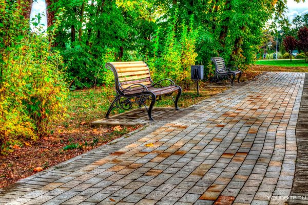 Аллея со скамейками
